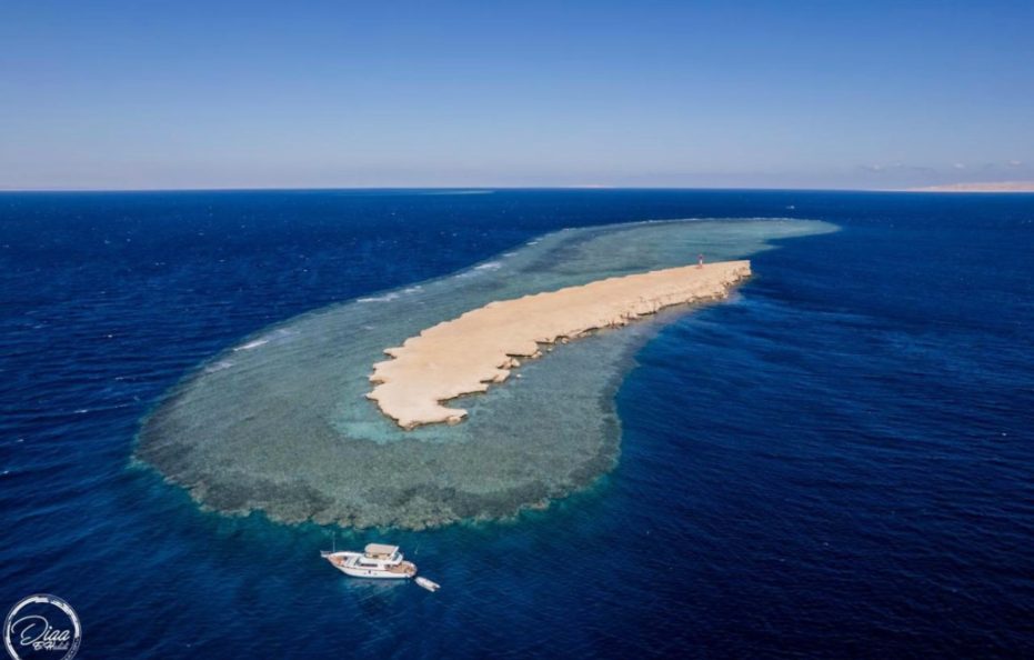 Swiss Wellness Down Town Hotel