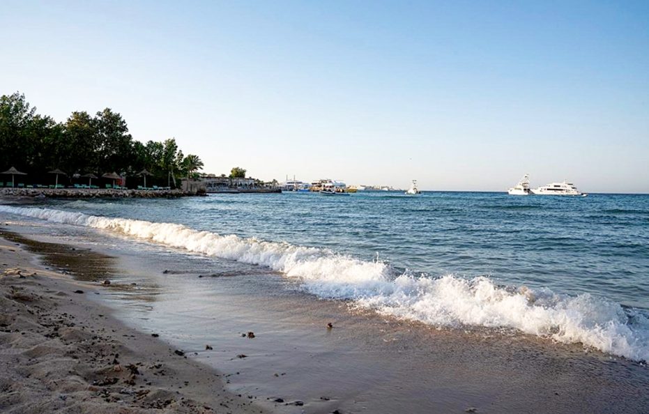 Dexon Roma Down Town Hotel