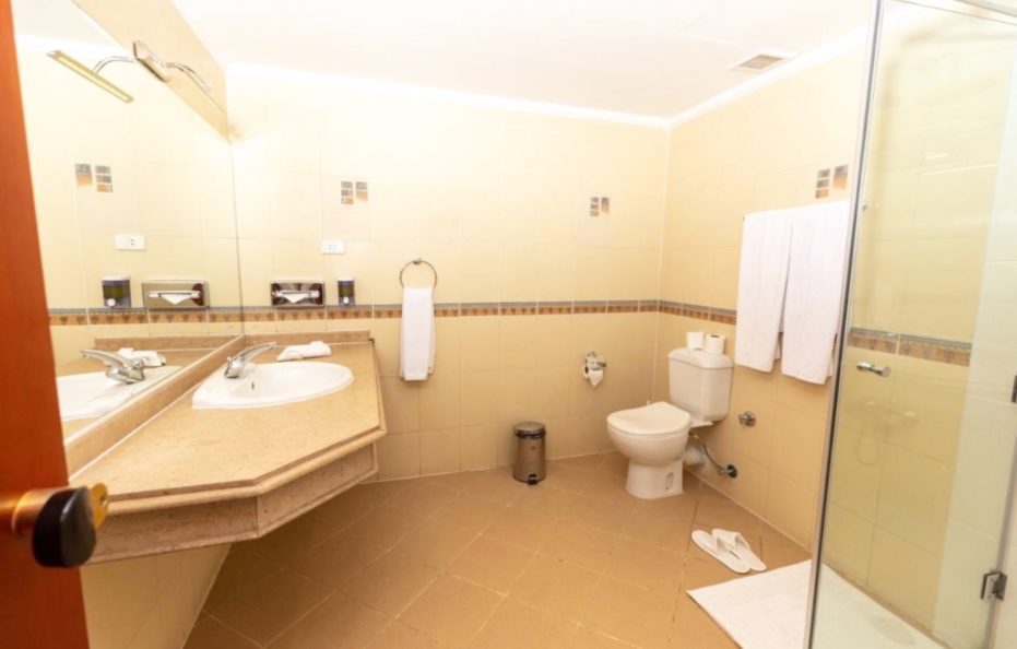 Swiss Wellness Down Town Hotel