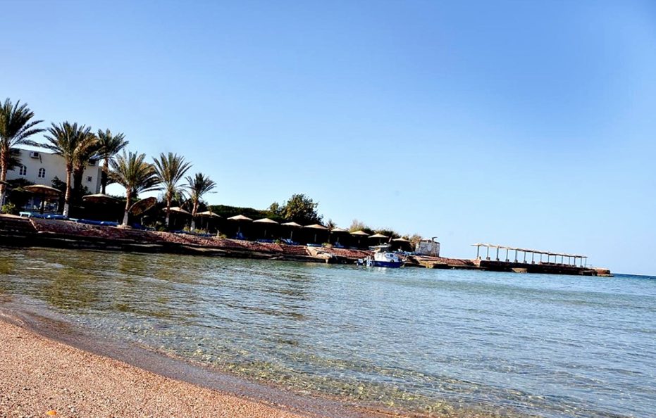 Sand Beach All Inclusive Hotel