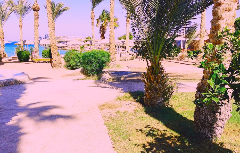 El Geisum Beach Resort