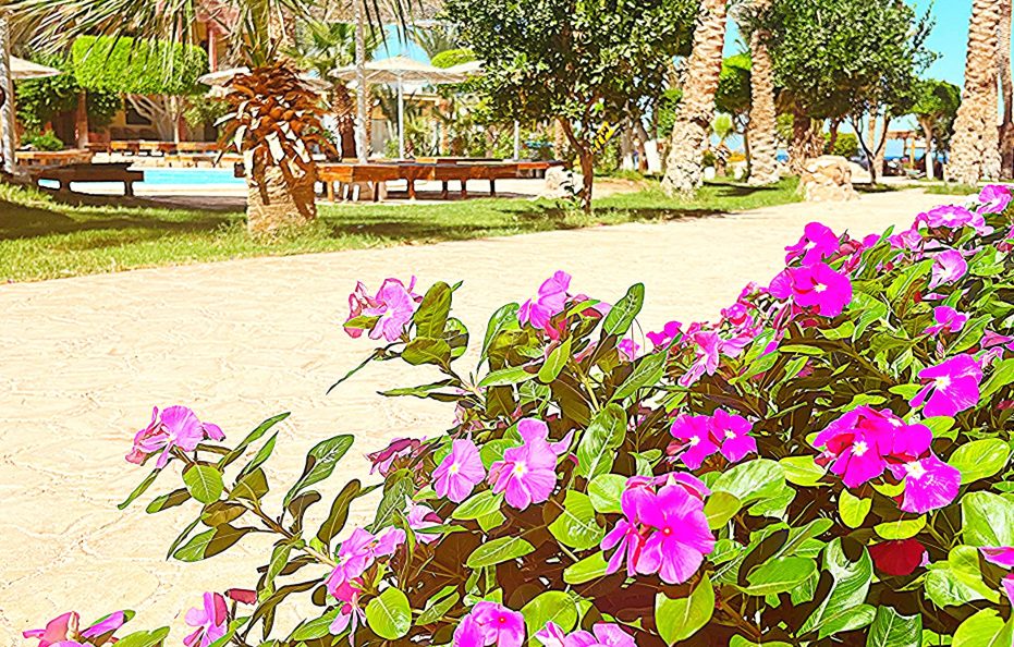 El Geisum Beach Resort