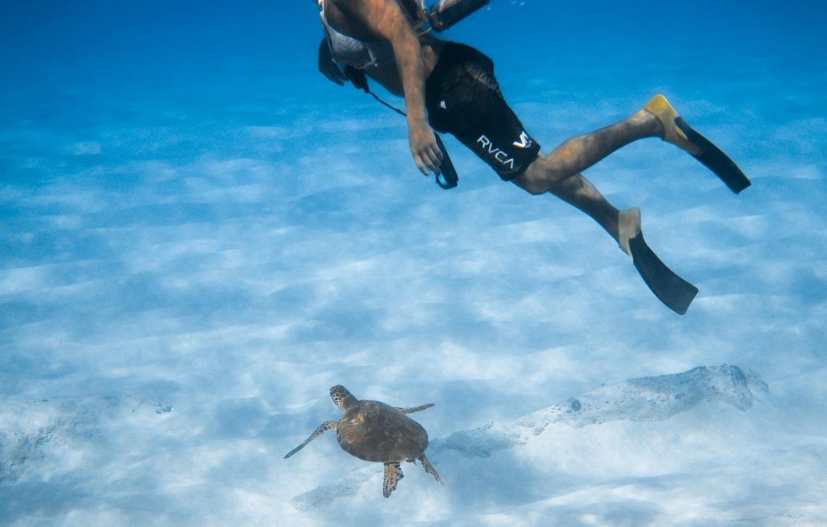 El Geisum Beach Resort