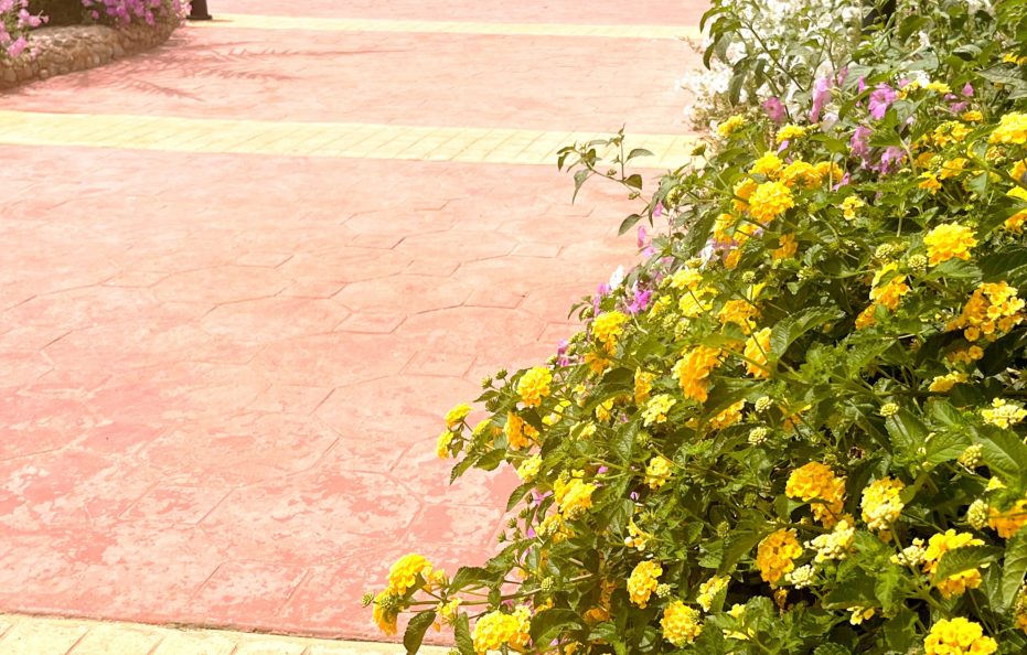 Cecelia Beach Resort