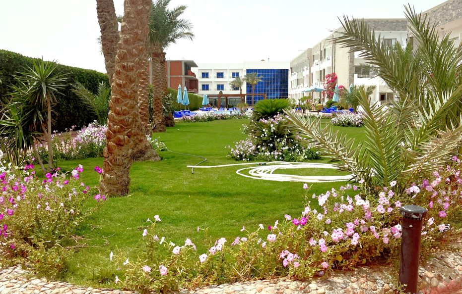 Cecelia Beach Resort