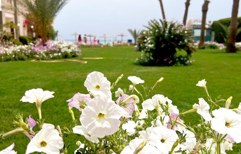 Cecelia Beach Resort