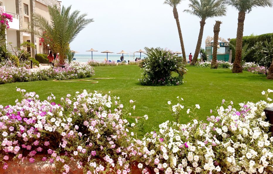 Cecelia Beach Resort