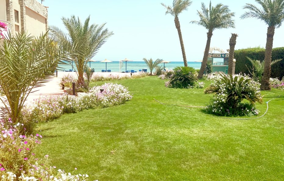 Cecelia Beach Resort