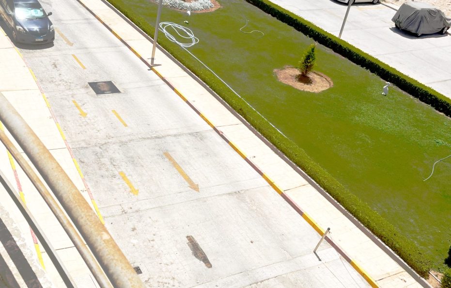 Cecelia Beach Resort